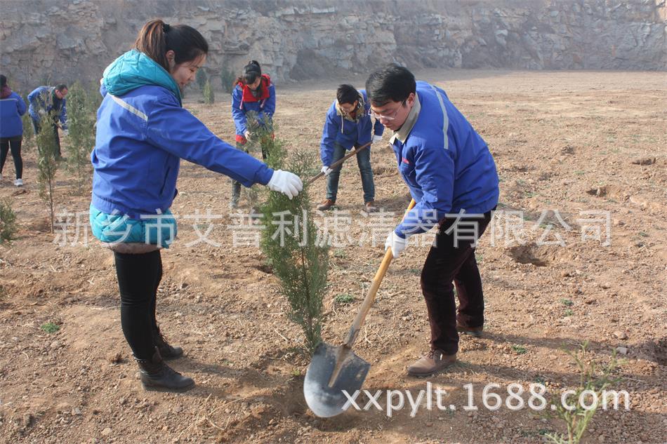 艾普利鳳凰山植樹，為美麗新鄉(xiāng)添新綠(圖2)